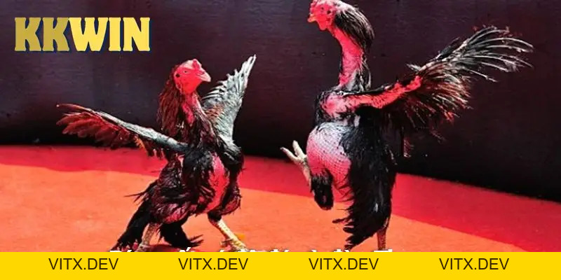 Bài sâm – Chi tiết luật chơi và cách chơi luôn thắng 2026